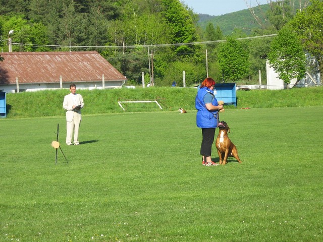www.atibox.net * www.euroboxer.eu * www.boxergenealogia.eu
